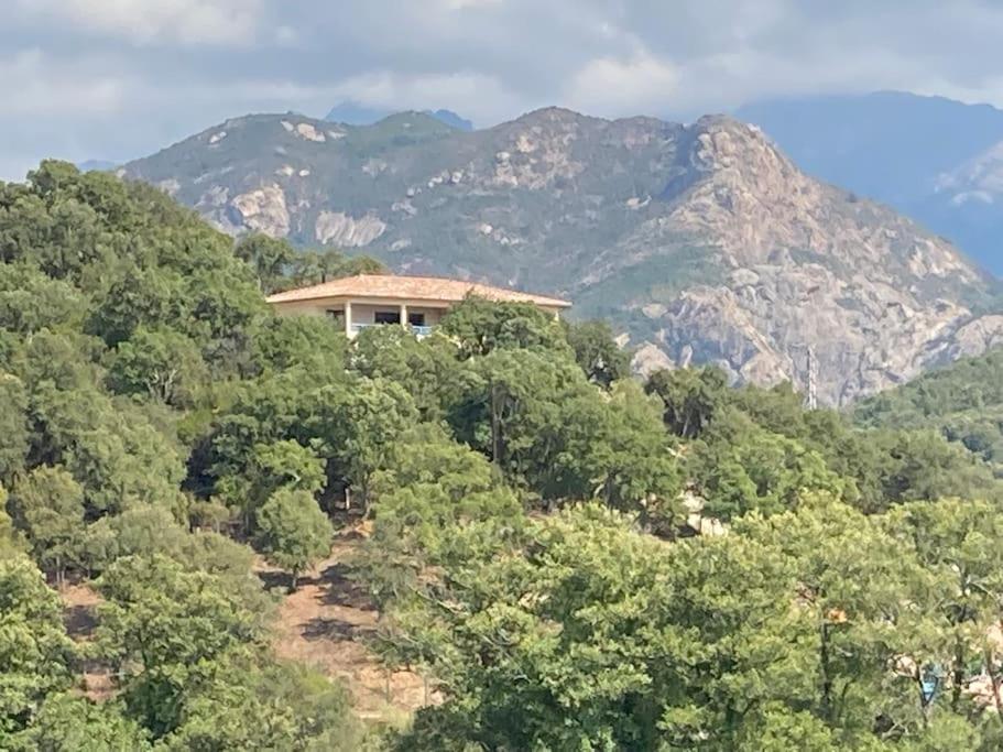 Entre Et Montagne * Ocana